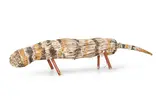 Lena Djamarayku, Bandicoot, wood, natural ochres and pandanus fibres