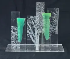 Janet Laurence, Model of the Breath We Share, acrylic and paint, edition 1 of 5