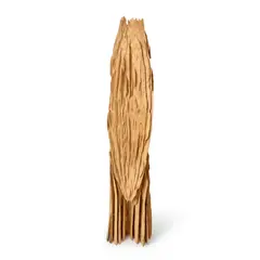 David Nash, Raised Shield (1992), 1992, wood