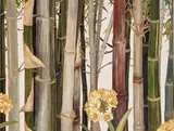 Cressida Campbell, Bamboo with Cliveas (2018)