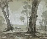 Hans Heysen, White Gums: A Study, charcoal and pastel on paper