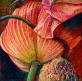 Tim Maguire, Untitled 20110111 2011, 2011, oil on canvas