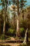 1835-1907, Henry James Johnstone, A Hunter in the Macedon Ranges, Victoria, Australia, oil on card on board