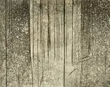 Fred Williams, Echuca Landscape (1961), 1961, etching on Kent paper