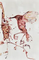 John Olsen, Warbler Study, watercolour on paper
