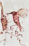 John Olsen, Warbler Study, watercolour on paper