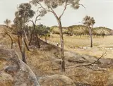 Ray Crooke, Moving Sheep 1960