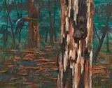 Albert Tucker, Parrot and Bush (1968), 1968, oil and bark on composition board