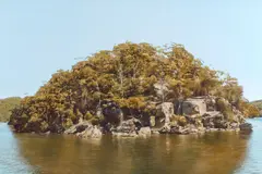 William Delafield Cook, Headland, Hawkesbury River 1985, 1985, synthetic polymer paint on canvas