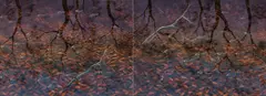 Lin Onus, Fish at Dusk (1996), 1996, synthetic polymer paint on canvas