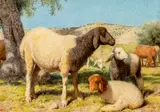 William James Webbe, Sheep on Mount Zion 1862, 1862, oil on board