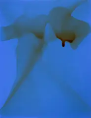 Dale Frank, Marco Leonardi 2000, 2000, synthetic polymer paint and varnish on canvas
