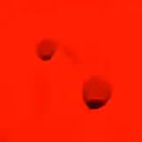 Julian McMahon 2008-2009 by Dale Frank, 2008-2009, varnish on canvas, sold Nov 2017