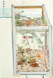 Cressida Campbell, Goldfish (1984)