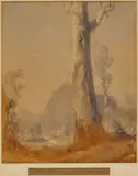 Hans Heysen, (Standing Gum) 1917