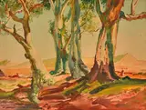 Hans Heysen, (Study of White Gums) 1948