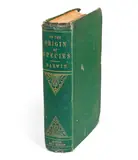 Charles Darwin, On the origin of species by means of natural selection, or the preservation of favoured races in the struggle for life, John Murray, London, 1859, 1859, octavo, folding lithographed diagram, 32-page publisher's catalogue dated June 1859, bound at the end, original gilt decorated green cloth, first edition, one of 1250 printed