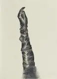 Pawel Olszczynski, "untitled" (Women's Gloves II), 2010, Bleistift auf chamoisfarbenem Papier