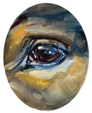 Justine Otto, Ohne Titel (Pferdeauge)