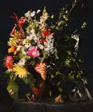 Andrew Putter, Hottentots Holland: Flora Capensis 5, 2008/09, Pigment Print auf Büttenpapier