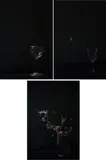 "Le verre de Cocteau" - "songe vert", "Montana" und "Libertine" by Nadin Maria Rüfenacht, 2009, C-Print/Diasec, sold Aug 2020