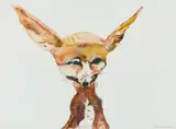 Cornelia Schleime, Ohne Titel  (aus der Reihe Camouflage)