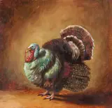 Rigo Schmidt, "Turkey"