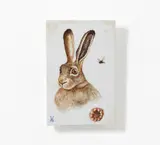 Rigo Schmidt, Hase