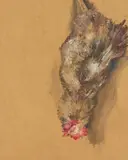 Vroni Schwegler, Huhn hängt, 2006, Öl auf MDF-Platte