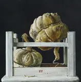 Stefan Stößel, Ohne Titel (2 alte Kürbisse)