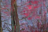 Nicole Bianchet, Howling in a Hollow Tree, 2010, Acryl, Gouache und Tusche auf Holz