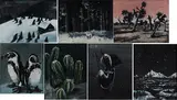 Kathrin Thiele, Dead end friends (7-teiliges Konvolut), 2011, Öl auf Holz