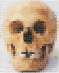 Peter Buechler, Ohne Titel (Totenkopf), 2007, Öl auf Papier