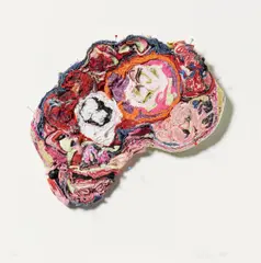 Birgit Dieker, Hirnschnitt, 2012, Kleidungsstücke und Stecknadeln auf Platte