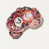 Birgit Dieker, Hirnschnitt, 2012, Kleidungsstücke und Stecknadeln auf Platte