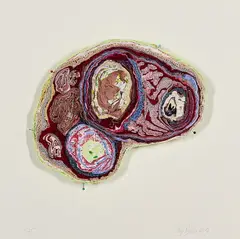 Birgit Dieker, Hirnschnitt, 2012, Kleidungsstücke und Stecknadeln auf Platte