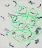 Herbert Egl, Team - Ein Netzwerk zum gemeinsamen Handeln, 2004, Acryl auf Leinwand