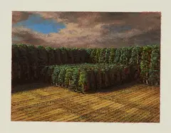 Markus Matthias Krüger, "Schonung", 2016, Acryl auf Papier