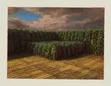 Markus Matthias Krüger, "Schonung"