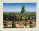 Markus Matthias Krüger, "Überbaum"