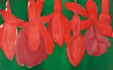 Rosa Loy, "Fuchsien", 1999, Farblichtdruck auf leichtem Karton