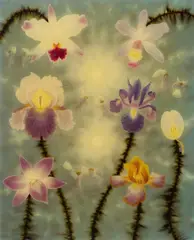 L. C. Armstrong, "Putti Pillowfight", 2007, Acryl, Zündschnur und Gießharz auf Holz