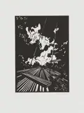 David Schnell, Ohne Titel