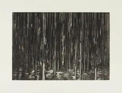 David Schnell, Echo, 2012, Aquatintaradierung auf Büttenpapier