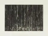 David Schnell, Echo, 2012, Aquatintaradierung auf Büttenpapier