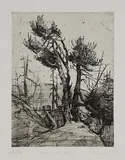 Michael Triegel, "Im Aletschwald", 1999, Strichätzung auf Bütten