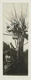 Michael Triegel, "Hieronymus"