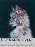 Paule Hammer, "A Strange Event"