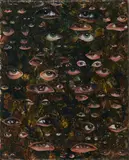 Paule Hammer, Ohne Titel (Augen)