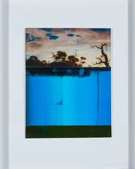 Peter Krauskopf, Ohne Titel (nach Camphuysens Hügellandschaft mit toten Bäumen), 2010, Collage auf Karton
